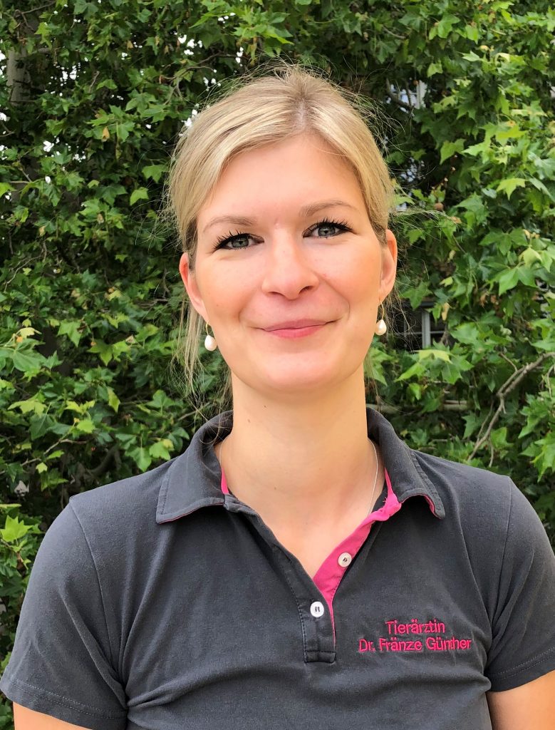 Dissertation examples image